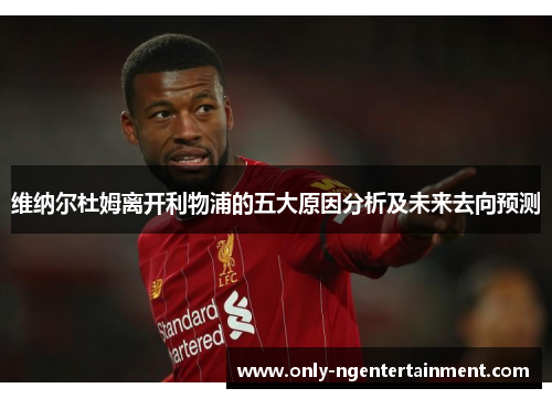 维纳尔杜姆离开利物浦的五大原因分析及未来去向预测 维纳尔杜姆离开利物浦的五大原因分析及未来去向预测