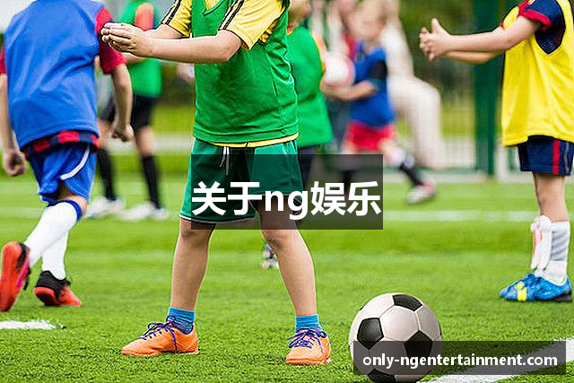 关于ng娱乐